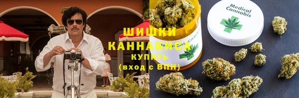 мет Алексин