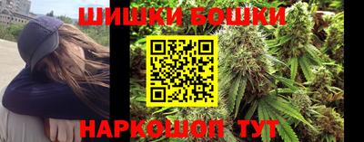 мдпв Камышлов