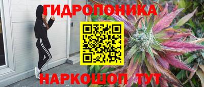 спайс Ирбит