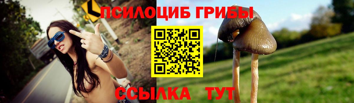 Галлюциногенные грибы Magic Shrooms  Вход с VPN  Менделеевск 